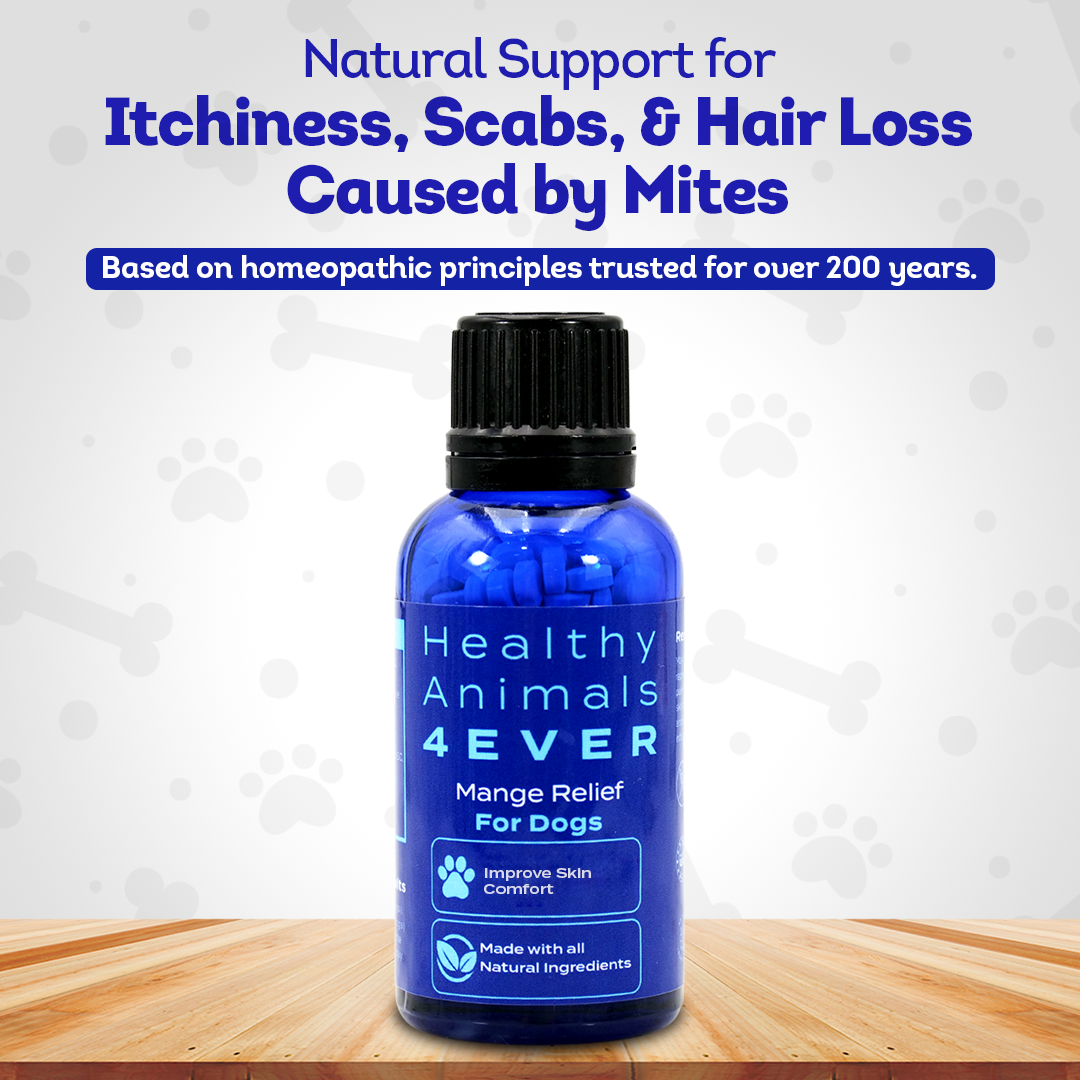 Mange Relief for Dogs - Treatment for Itchiness, Scabs, & Hair Loss Caused by Mites