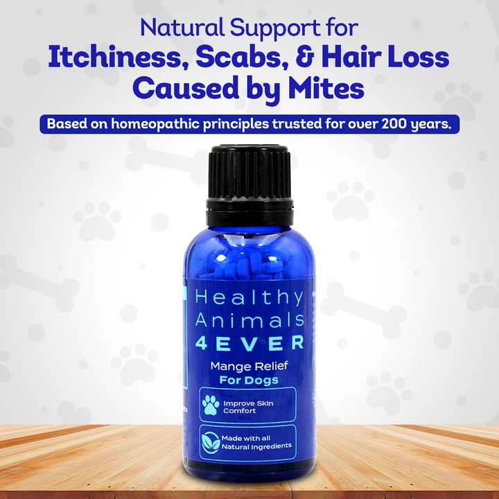 Mange Relief for Dogs - Treatment for Itchiness, Scabs, & Hair Loss Caused by Mites