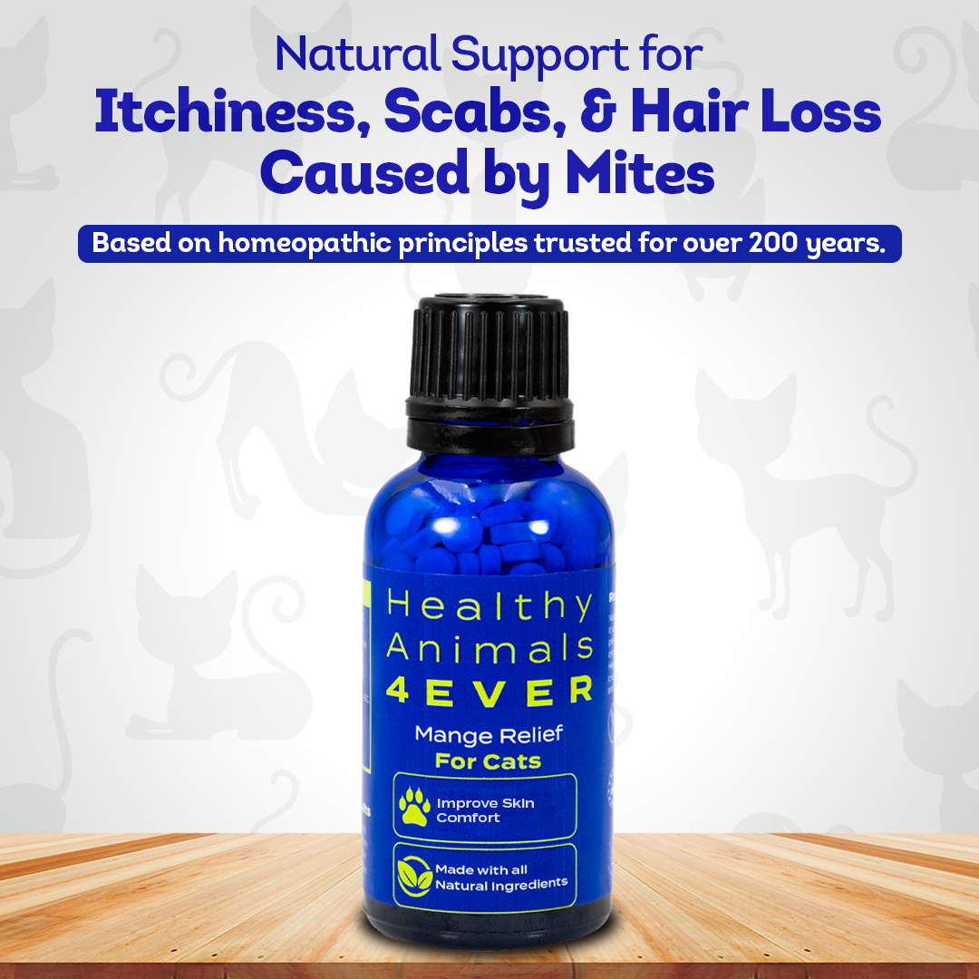Mange Remedy for Cats - Natural Support for Itchiness, Scabs, & Hair Loss Caused by Mites