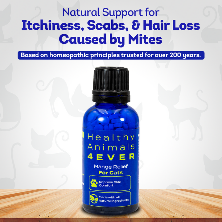 Mange Remedy for Cats - Natural Support for Itchiness, Scabs, & Hair Loss Caused by Mites