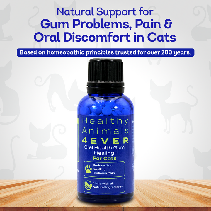 Oral Health Gum Healing Formula for Cats, 30-Day Supply