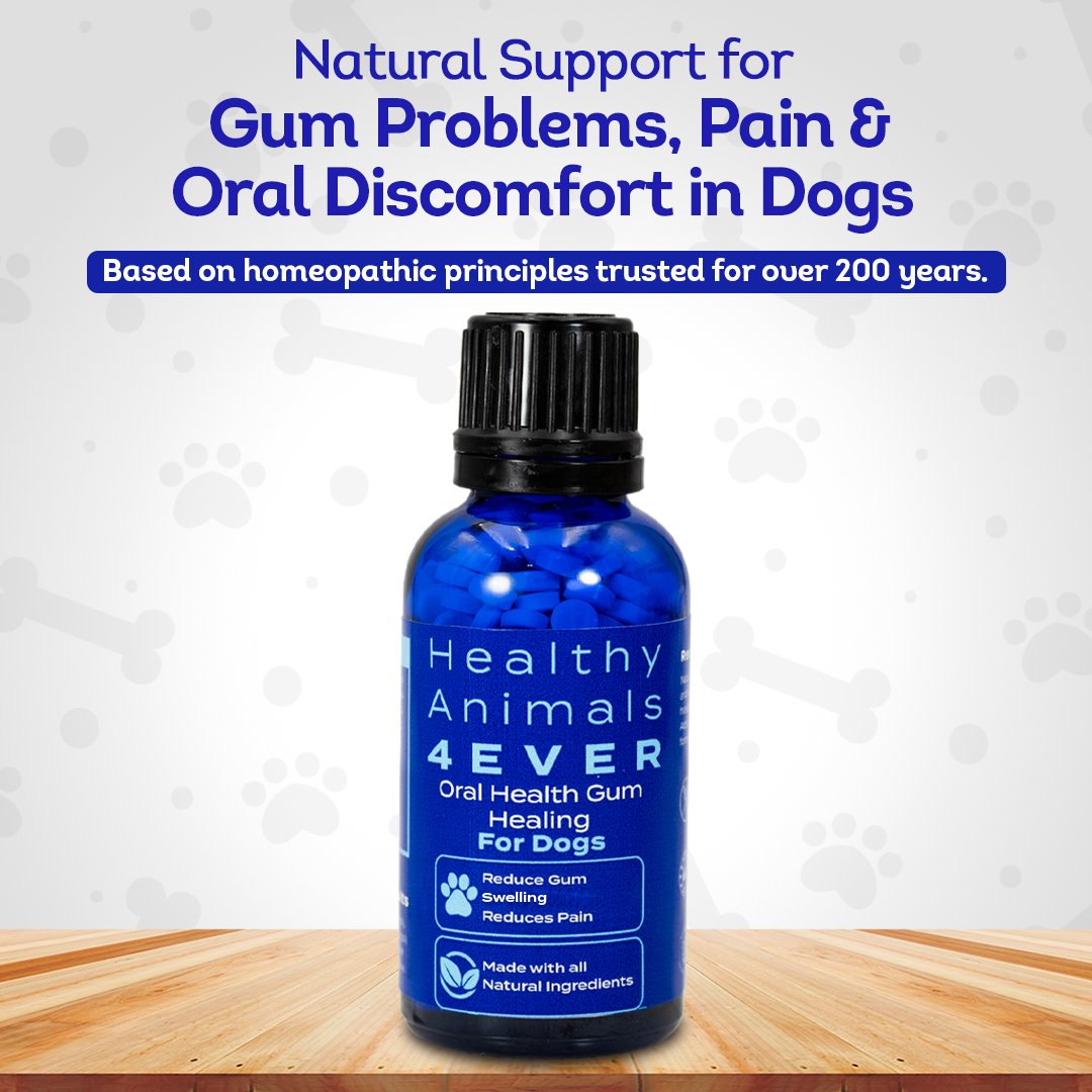 Oral Health Gum Healing Formula for Dogs, 30-Day Supply