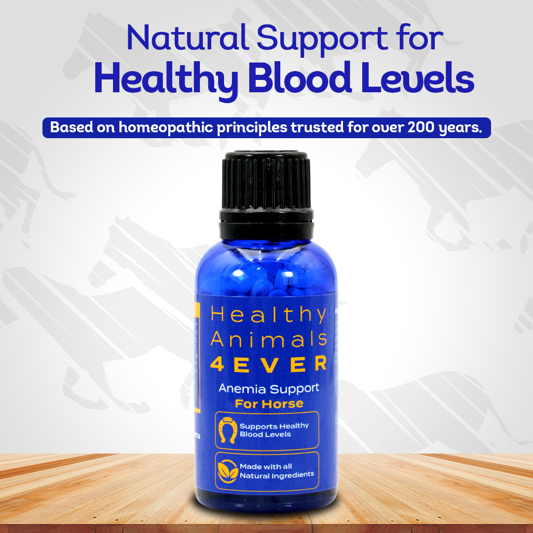 Horse Anemia Support