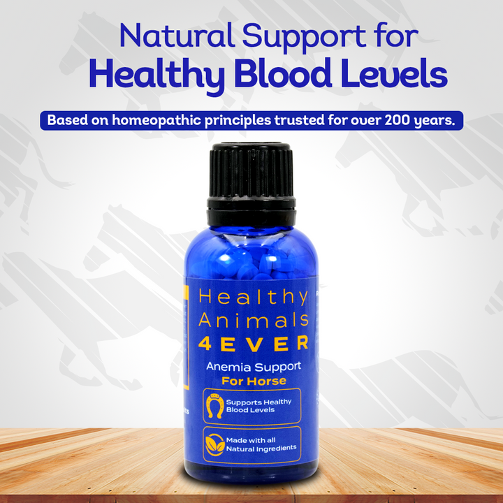 Horse Anemia Support
