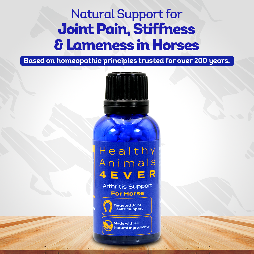 Horse Arthritis Support