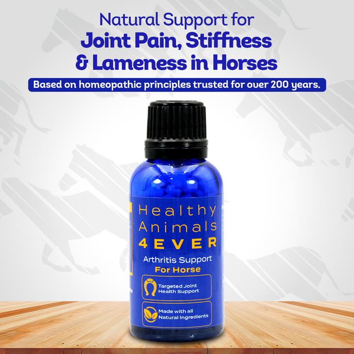 Horse Arthritis Support