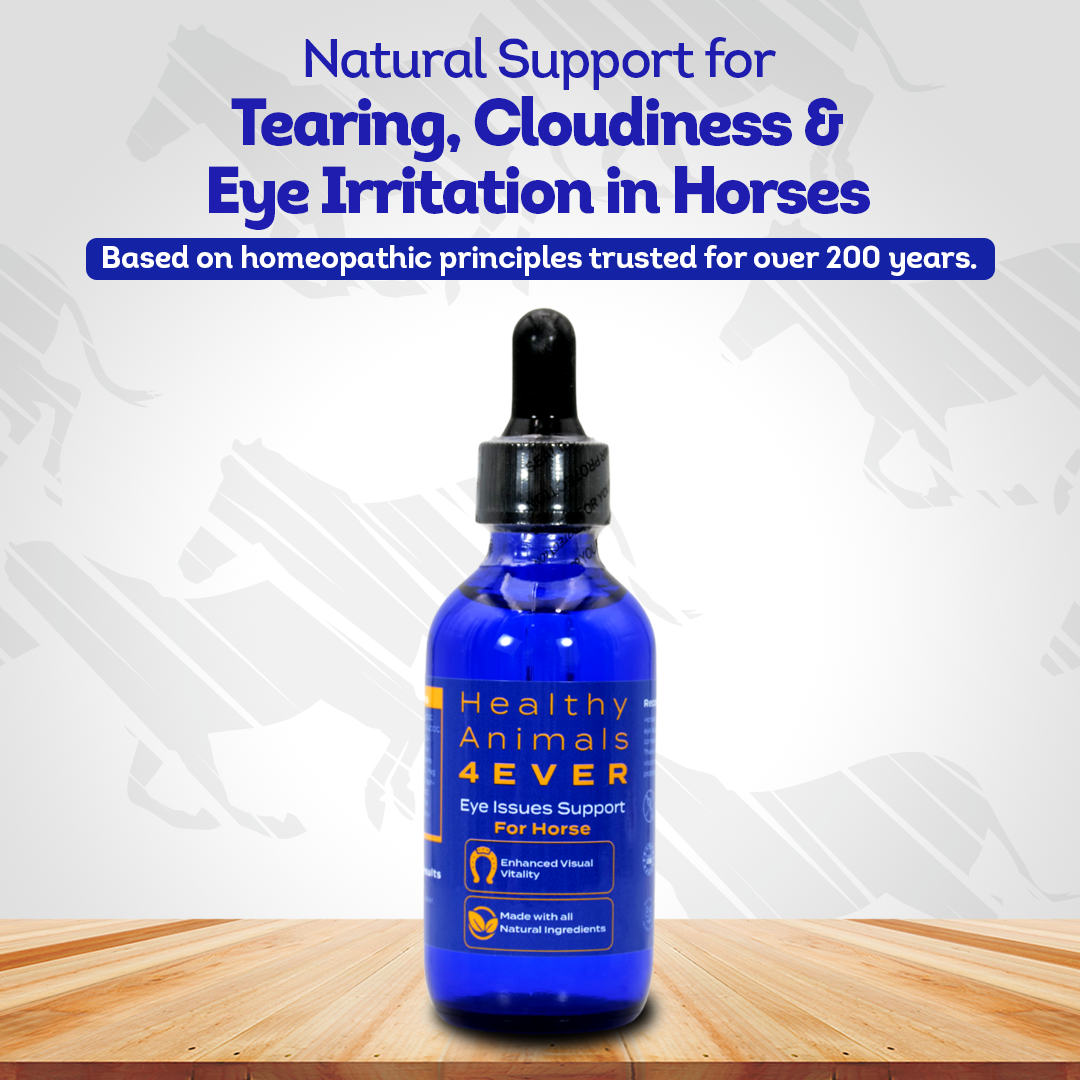 Horse Eye Issues Support (Liquid)