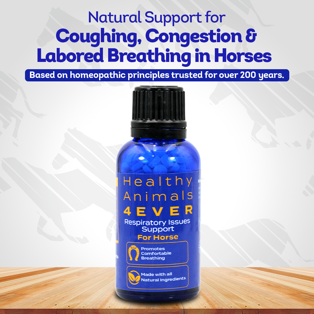 Horse Respiratory Issues Support - Helps Prevent Heaves, Allergies & Infections – Highly Effective, Natural Homeopathic Supplement - 300 Tablets