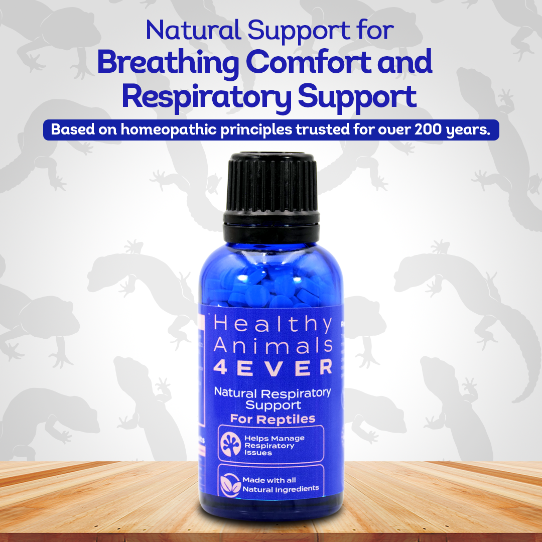 My experience treating reptile breathing issues