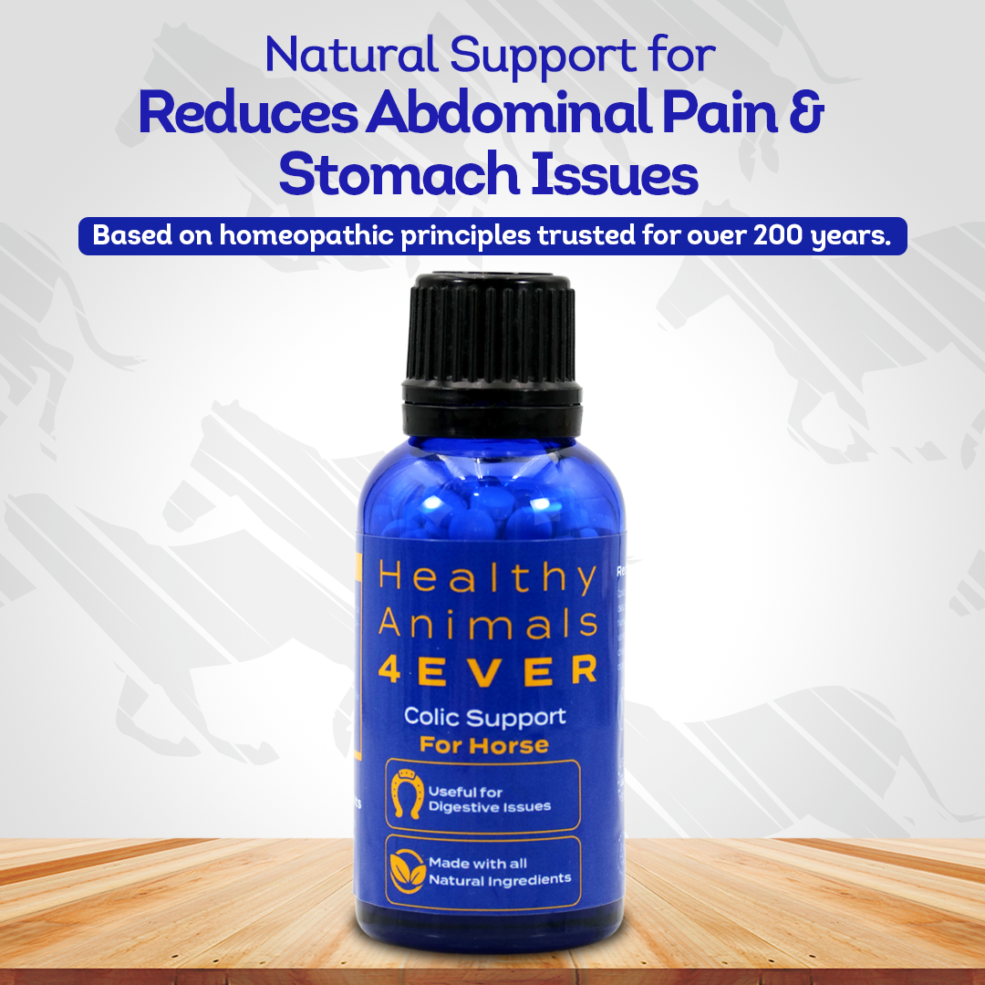 Horse Colic Support - Reduces Abdominal Pain & Stomach Issues - Highly Effective, Natural Homeopathic Supplement - 300 Tablets