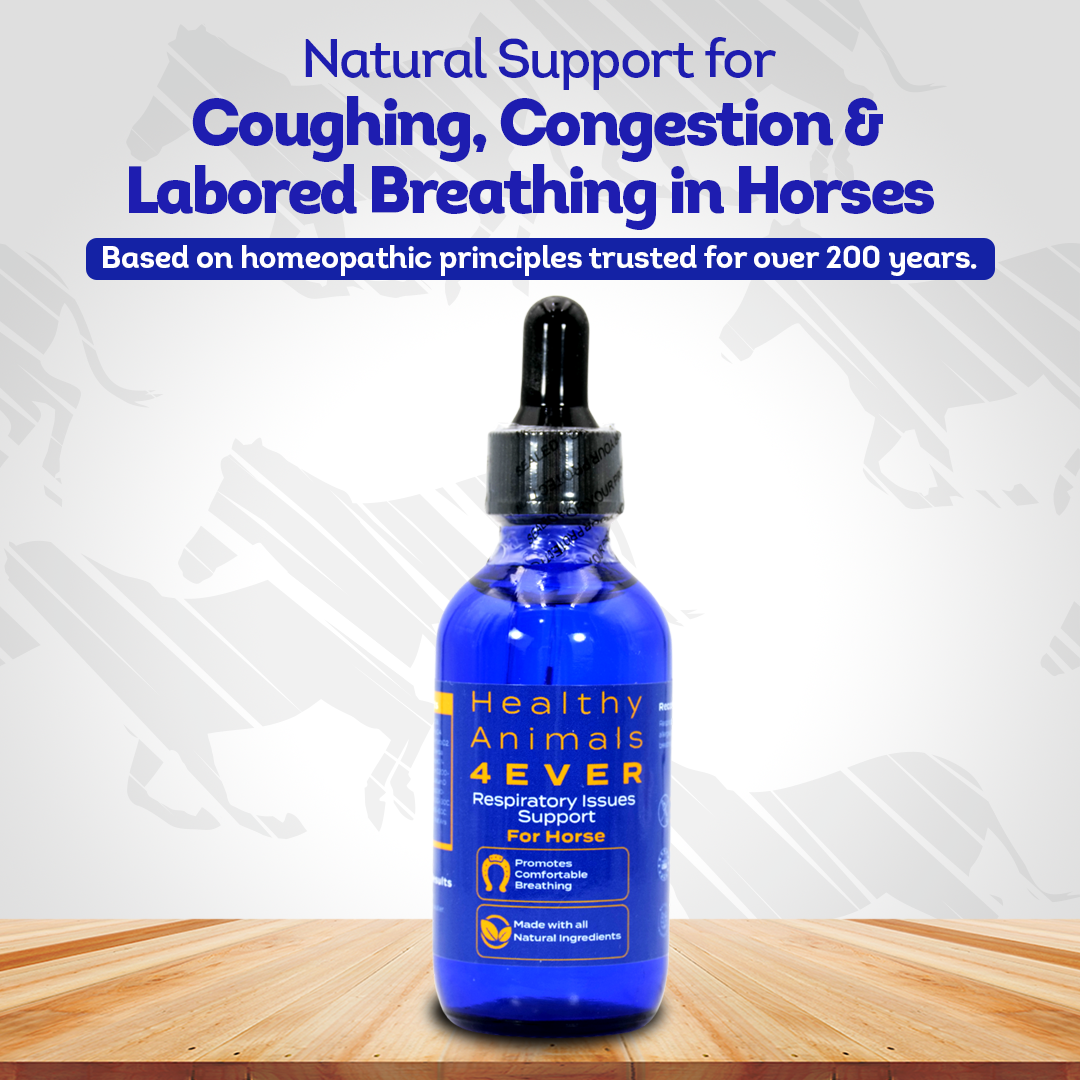 Horse Respiratory Issues Support (Liquid)