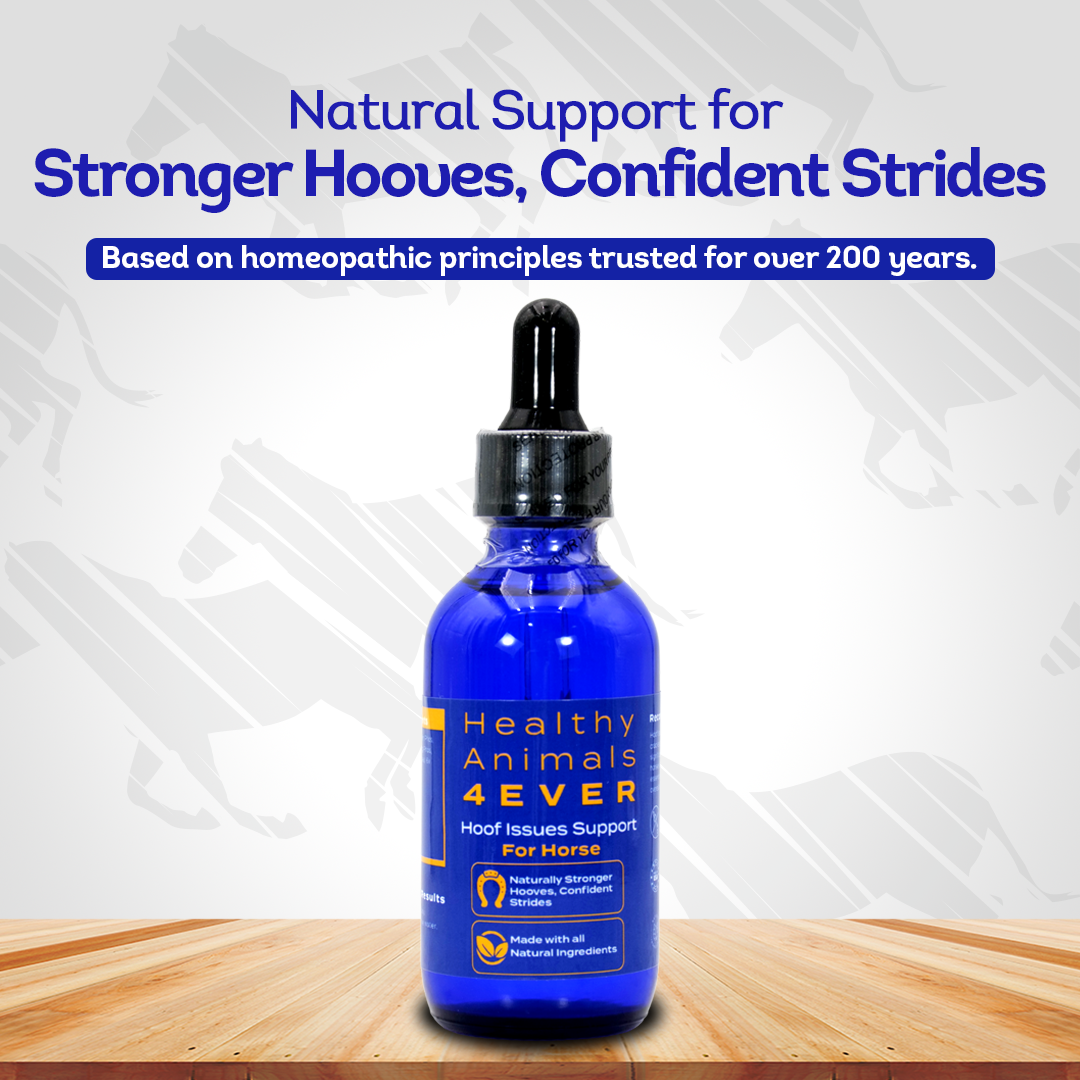 Horse Hoof Issues Support (Liquid)