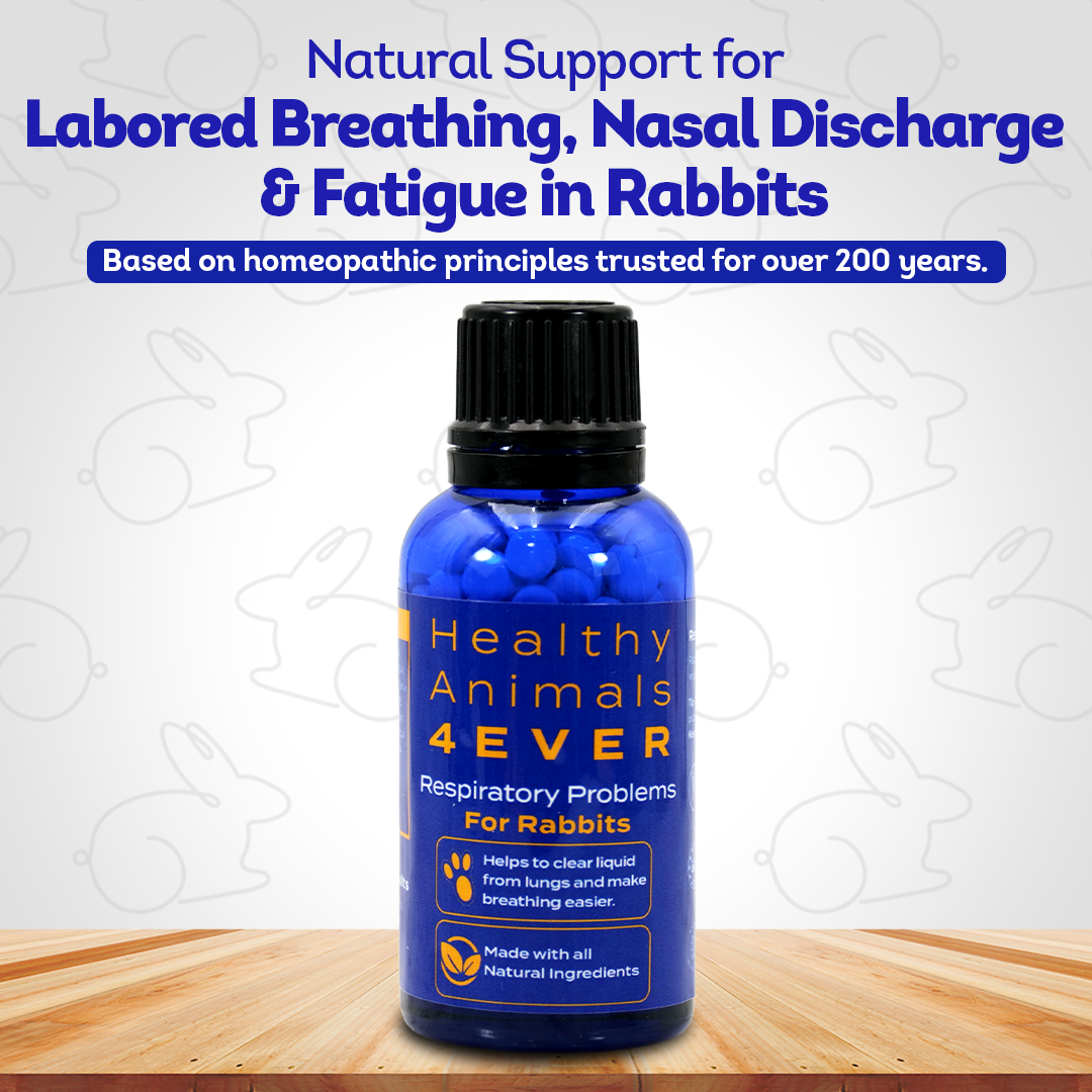 Respiratory Infection Remedy for Rabbits