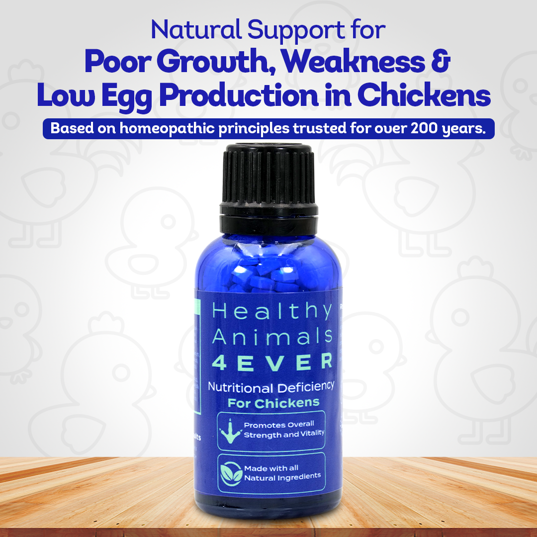 Chicken Nutritional Deficiency Supplement - Supports Balanced Nutrition & Health - Highly Effective, Natural Homeopathic Tablets - 300 Pellets
