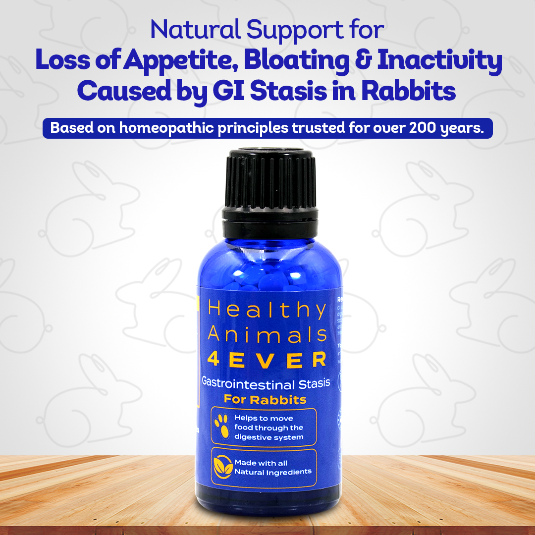 Gastrointestinal Stasis Relief for Rabbits