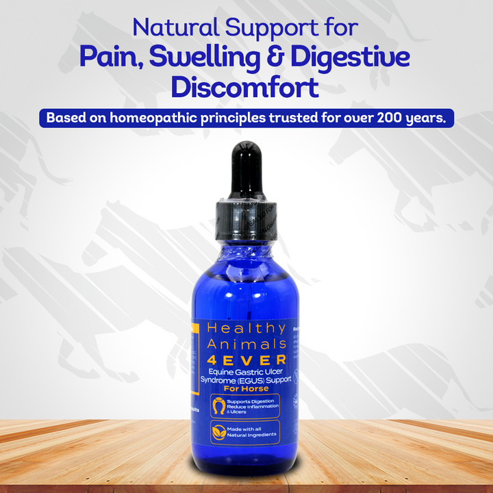 Equine Gastric Ulcer Syndrome Support (Liquid)