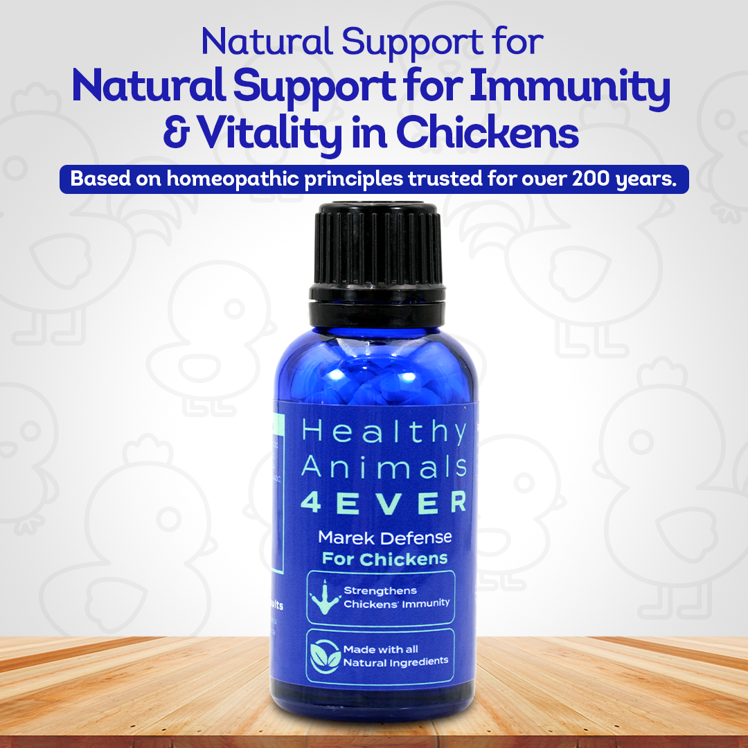 Chicken Immunity Support for Marek’s Disease - Natural Prevention & Immune Strengthening - Highly Effective Homeopathic Formula - 300 Tablets