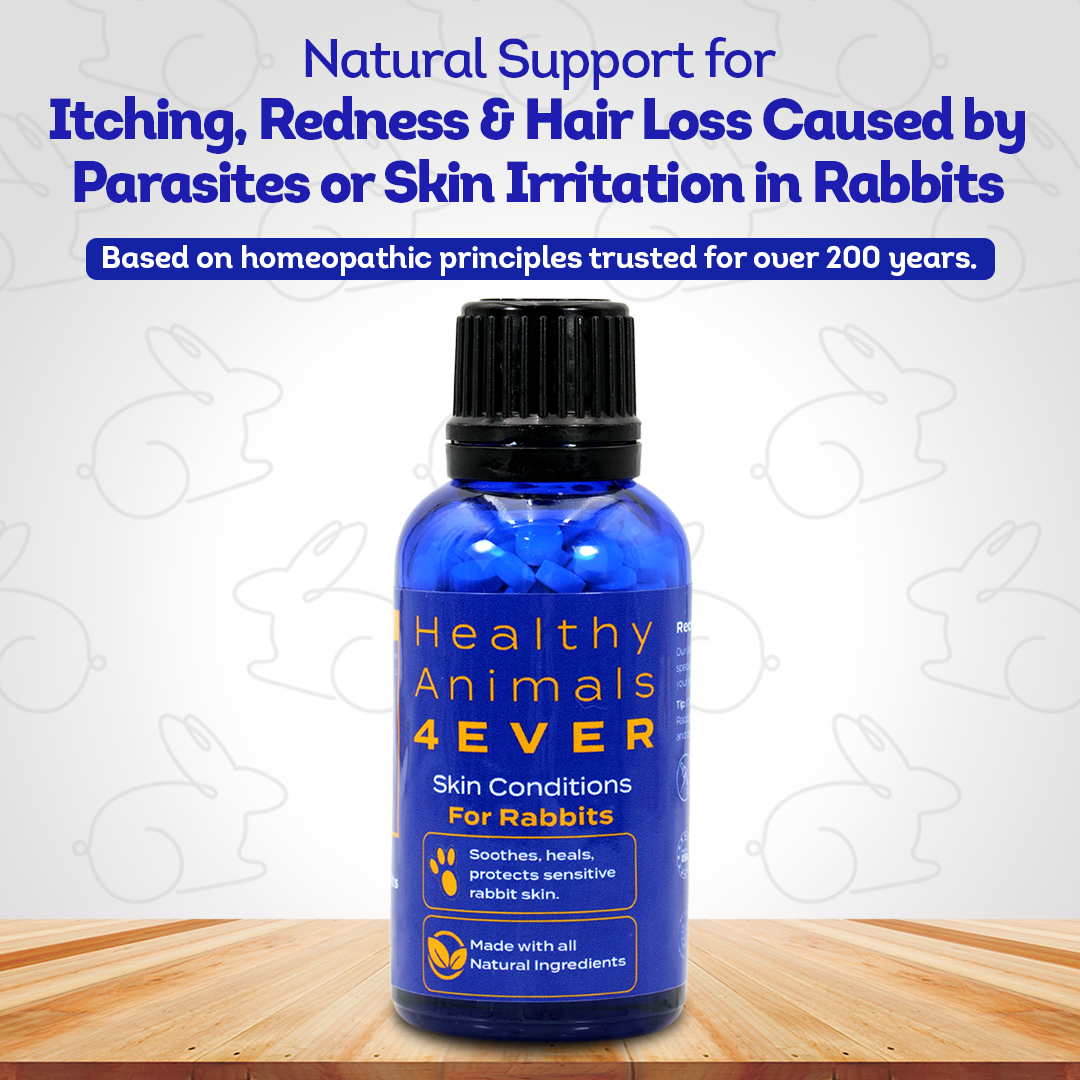 Skin Condition Remedy for Rabbits