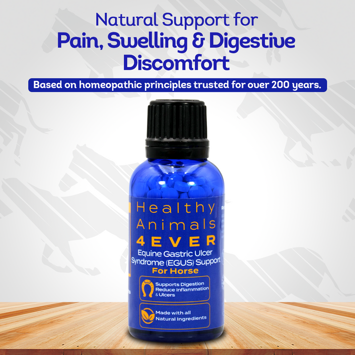 Equine Gastric Ulcer Syndrome Support