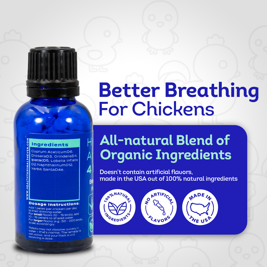 Chicken Respiratory Support Supplement - Effective Breathing Aid for Chickens - Highly Effective Homeopathic Formula - 300 Tablets