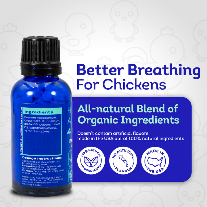 Chicken Respiratory Support Supplement - Effective Breathing Aid for Chickens - Highly Effective Homeopathic Formula - 300 Tablets