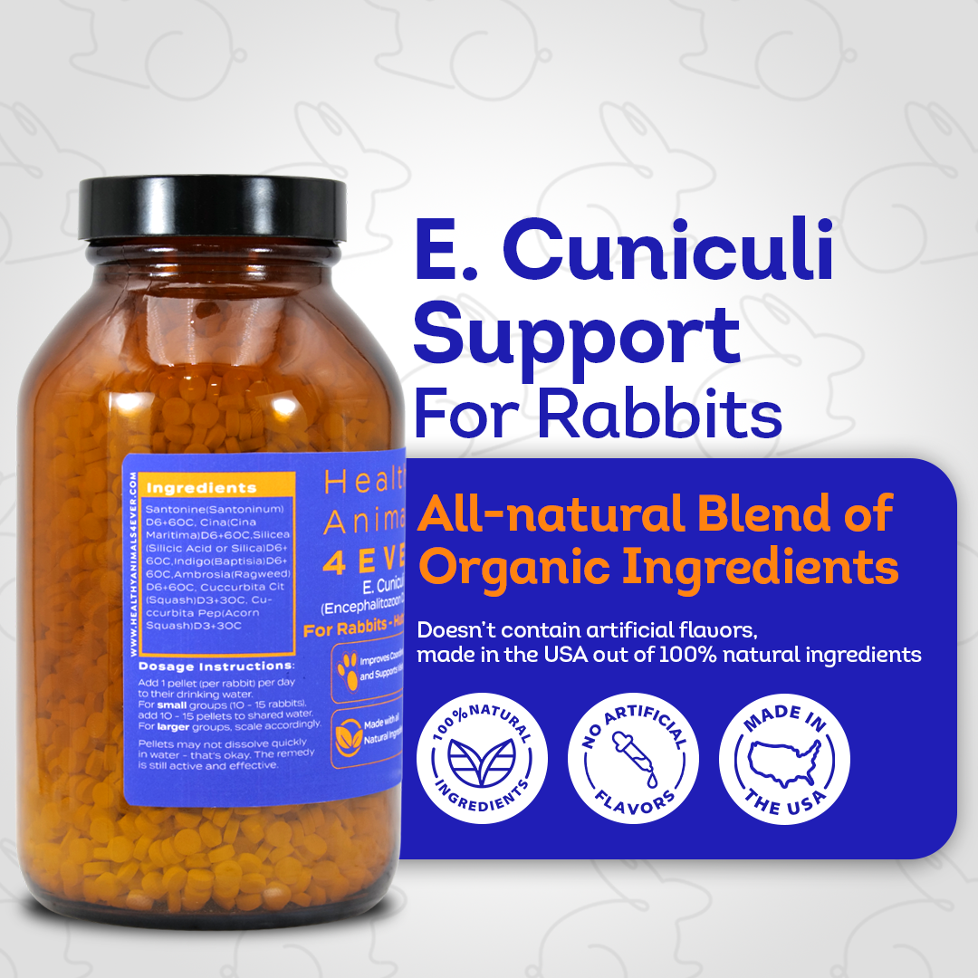 Rabbit E. Cuniculi Infection Treatment - Natural, Homeopathic Support for Prevention & Immunity Boost - Tablets, Big Jar