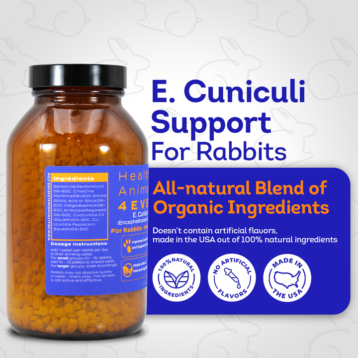 Rabbit E. Cuniculi Infection Treatment - Natural, Homeopathic Support for Prevention & Immunity Boost - Tablets, Big Jar