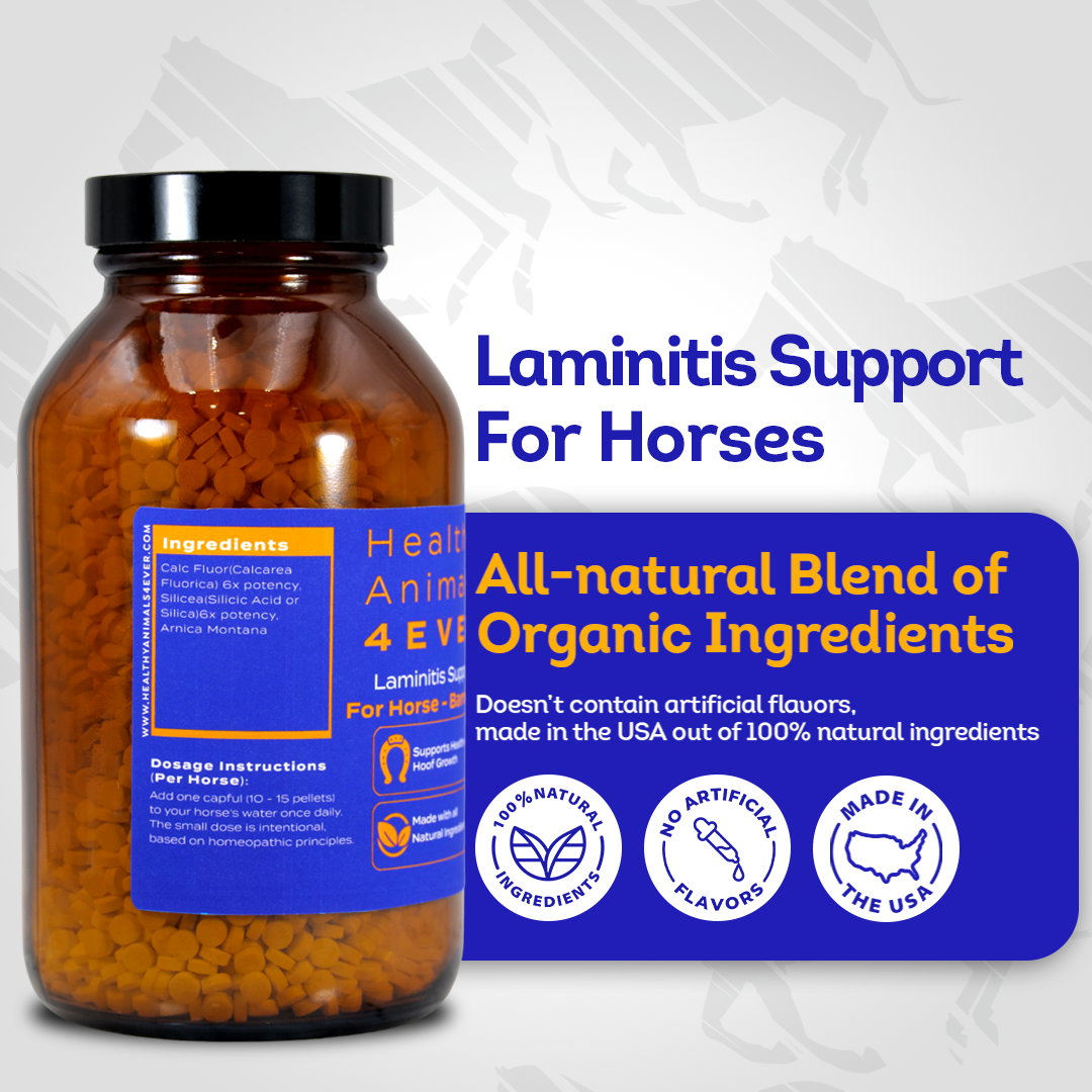 Horse Laminitis Support - Hoof Care for Damaged & Injured Hooves - Highly Effective, Natural Homeopathic Supplement - Tablets, Big Jar