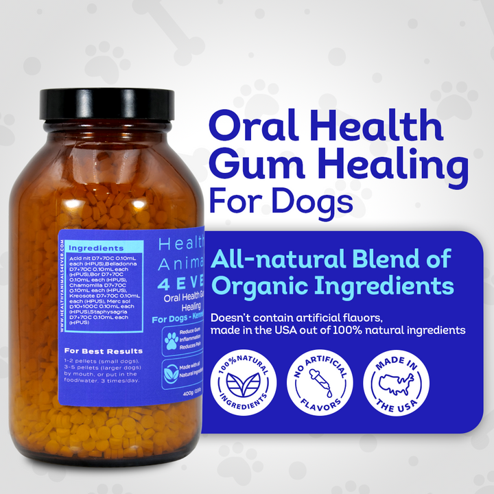 Dog Oral Health Supplement - Relieves Inflammation, Soothes Pain & Fights Gum Disease - Natural, Non-GMO, Organic, Gluten-Free & Chemical-Free - Tablets, Big Jar