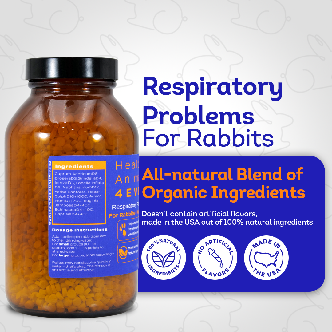 Rabbit Respiratory Remedy - Support for Snuffles, URI & Breathing Relief - Preventive Care - Natural, Homeopathic, Non-Toxic, Tablets, Big Jar