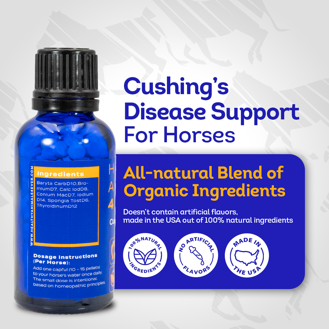 Horse Digestive Support for Cushing’s Disease - Preventative Care - Highly Effective, Natural Homeopathic Supplement - 300 Tablets