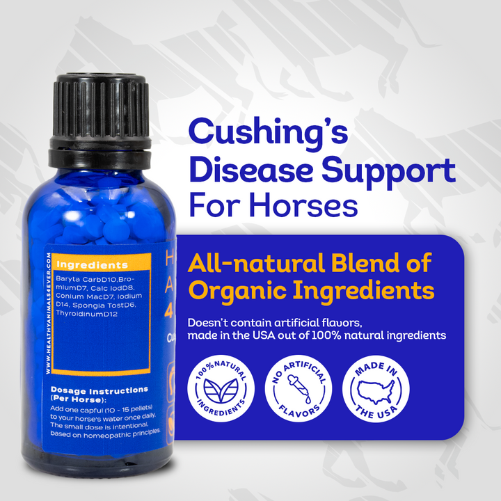 Horse Digestive Support for Cushing’s Disease - Preventative Care - Highly Effective, Natural Homeopathic Supplement - 300 Tablets