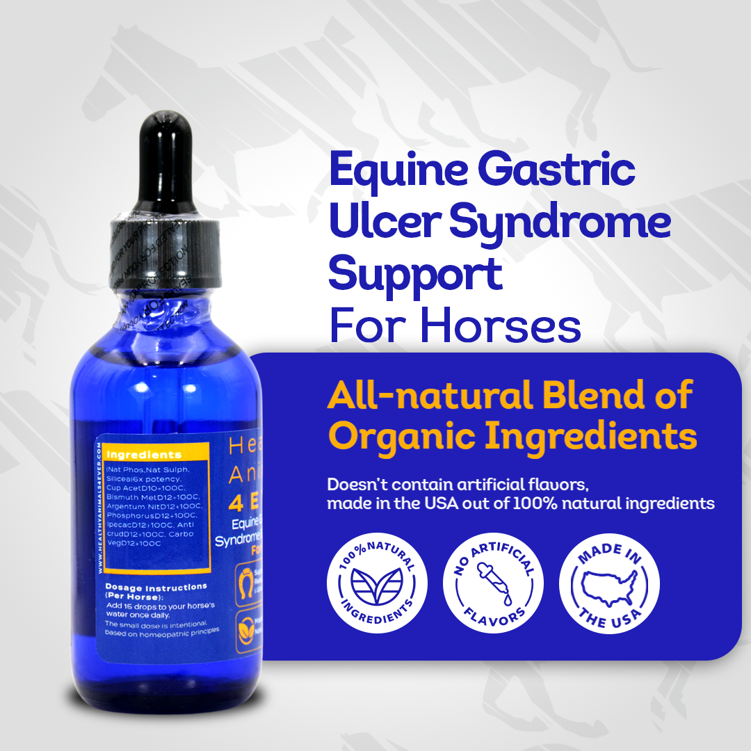 Equine Gastric Ulcer Syndrome Support (Liquid)