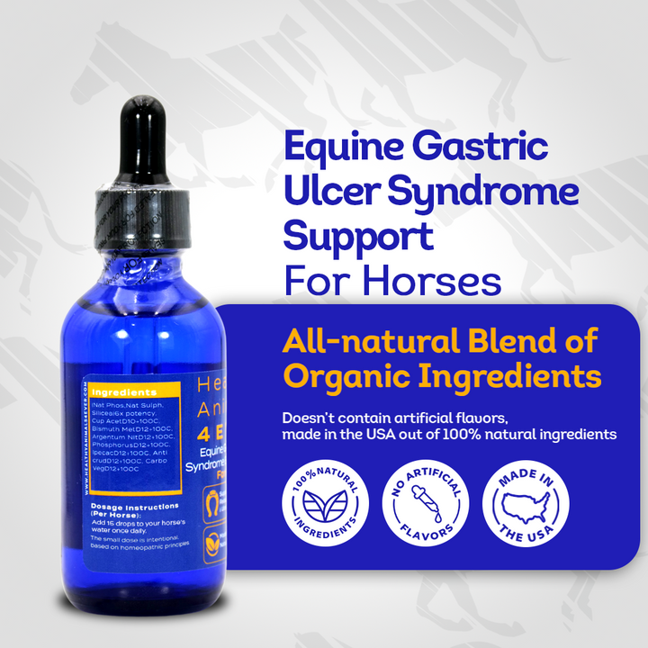 Equine Gastric Ulcer Syndrome Support (Liquid)