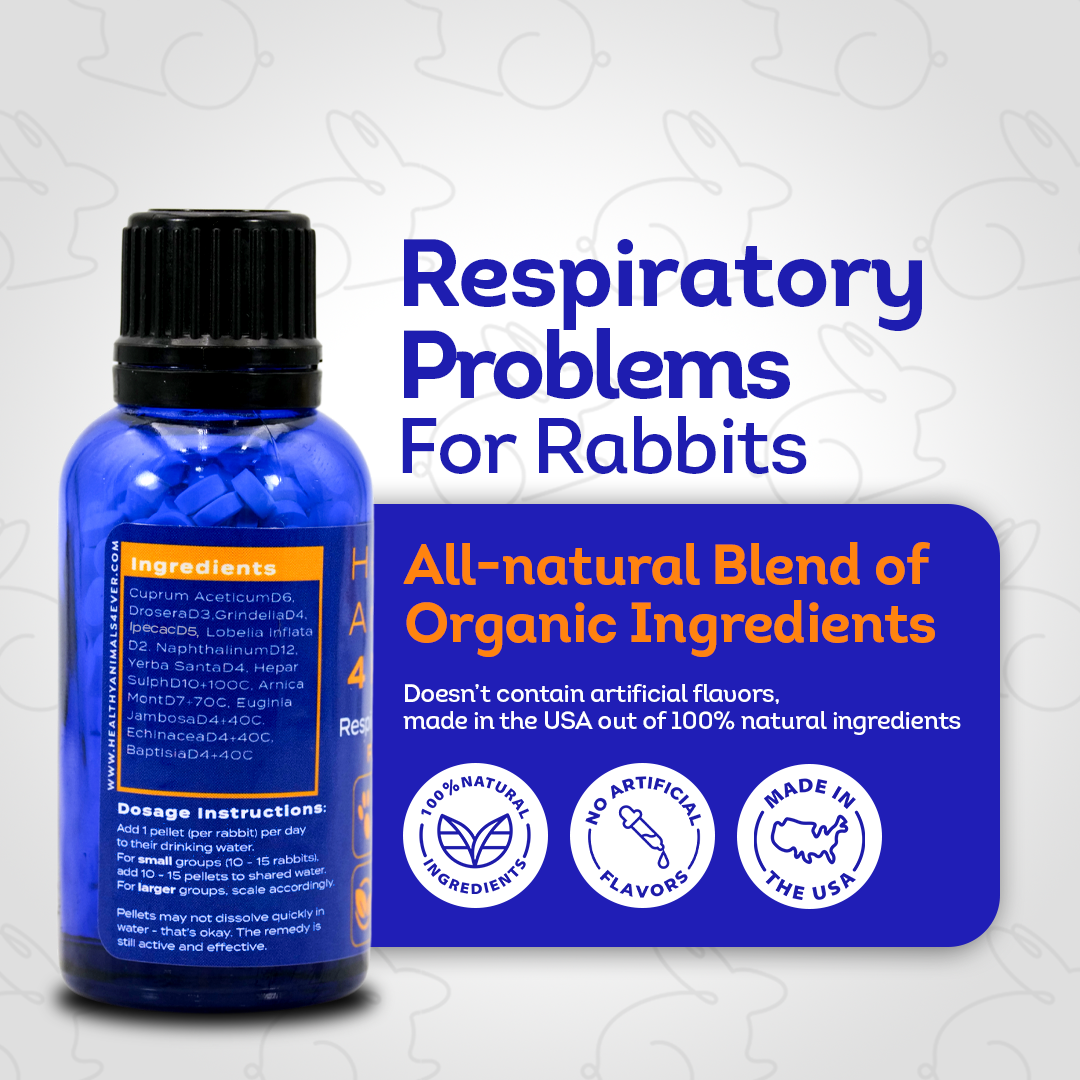 Respiratory Infection Remedy for Rabbits