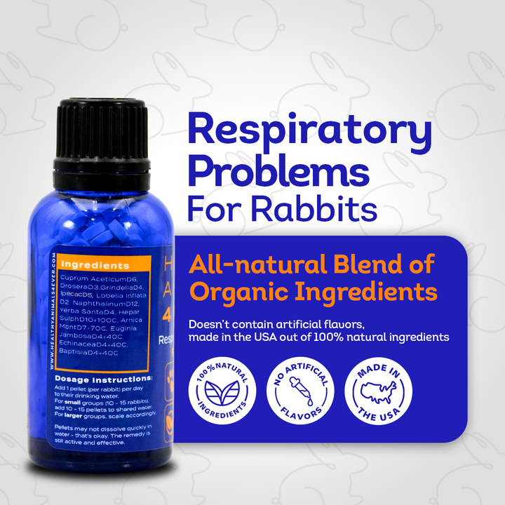 Respiratory Infection Remedy for Rabbits