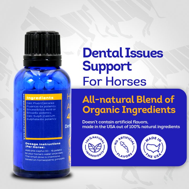 Horse Dental Issues Support