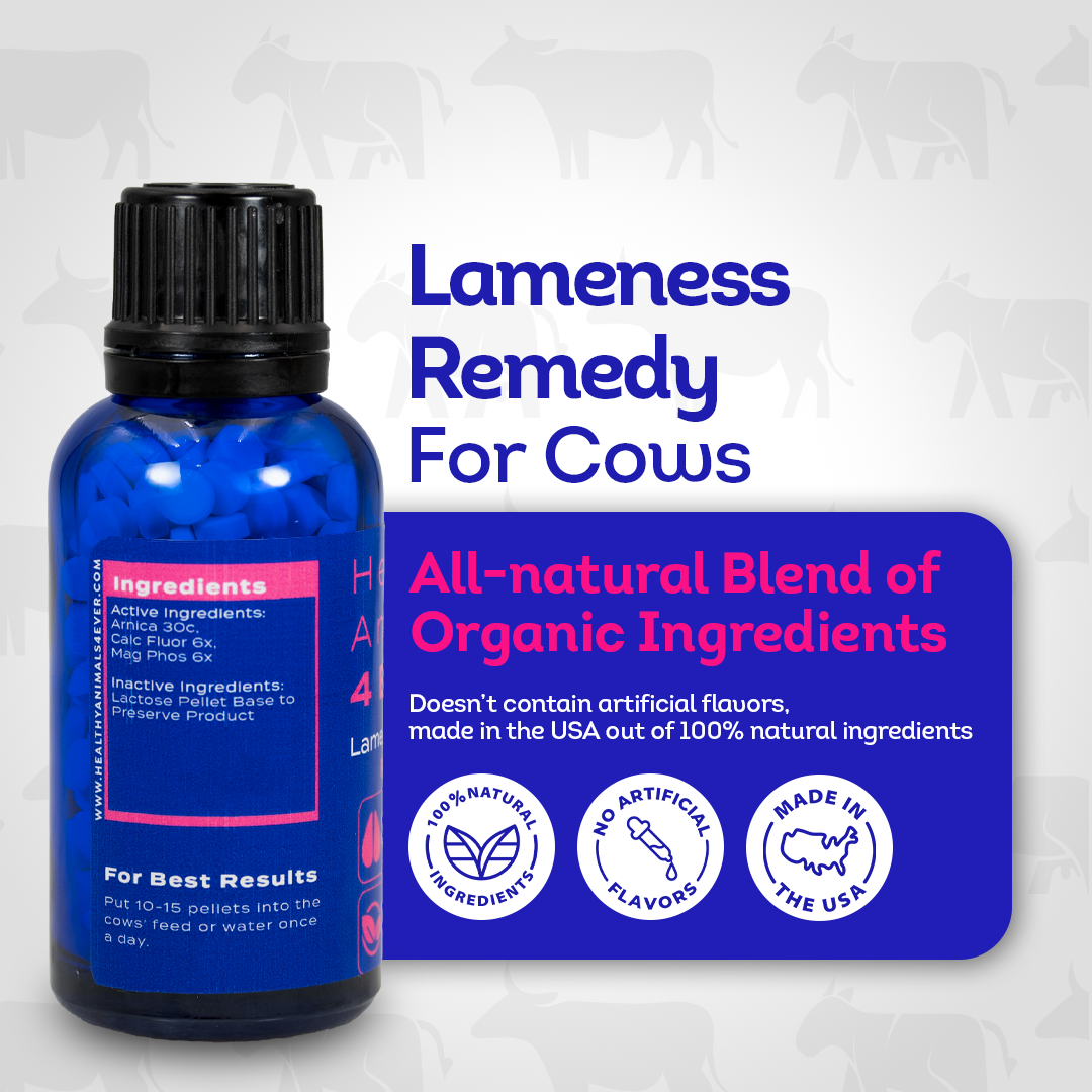 Cow Lameness Remedy