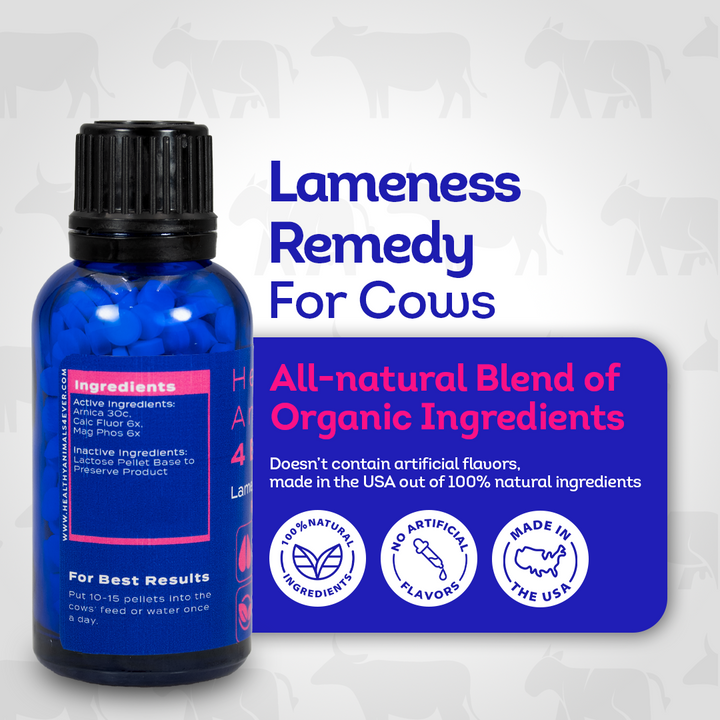 Cow Lameness Remedy