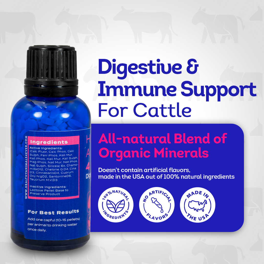 Johne’s Disease Support for Cattle - Digestive & Immune Supplement - Helpful for Diarrhea and Weight Loss - Safe, Gentle, Natural Formula - 300+ Tablets