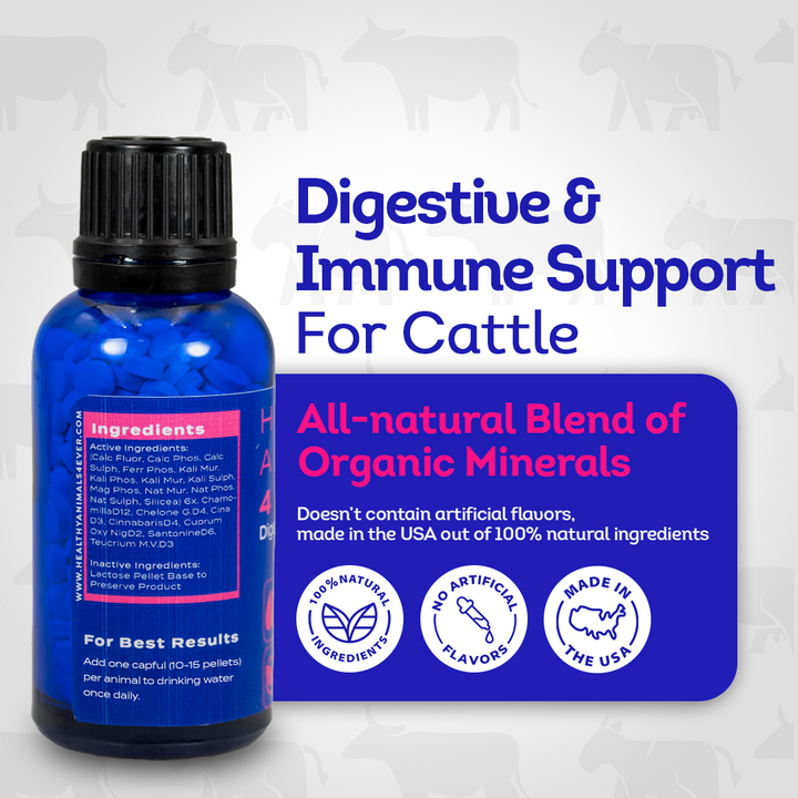 Johne’s Disease Support for Cattle - Digestive & Immune Supplement - Helpful for Diarrhea and Weight Loss - Safe, Gentle, Natural Formula - 300+ Tablets