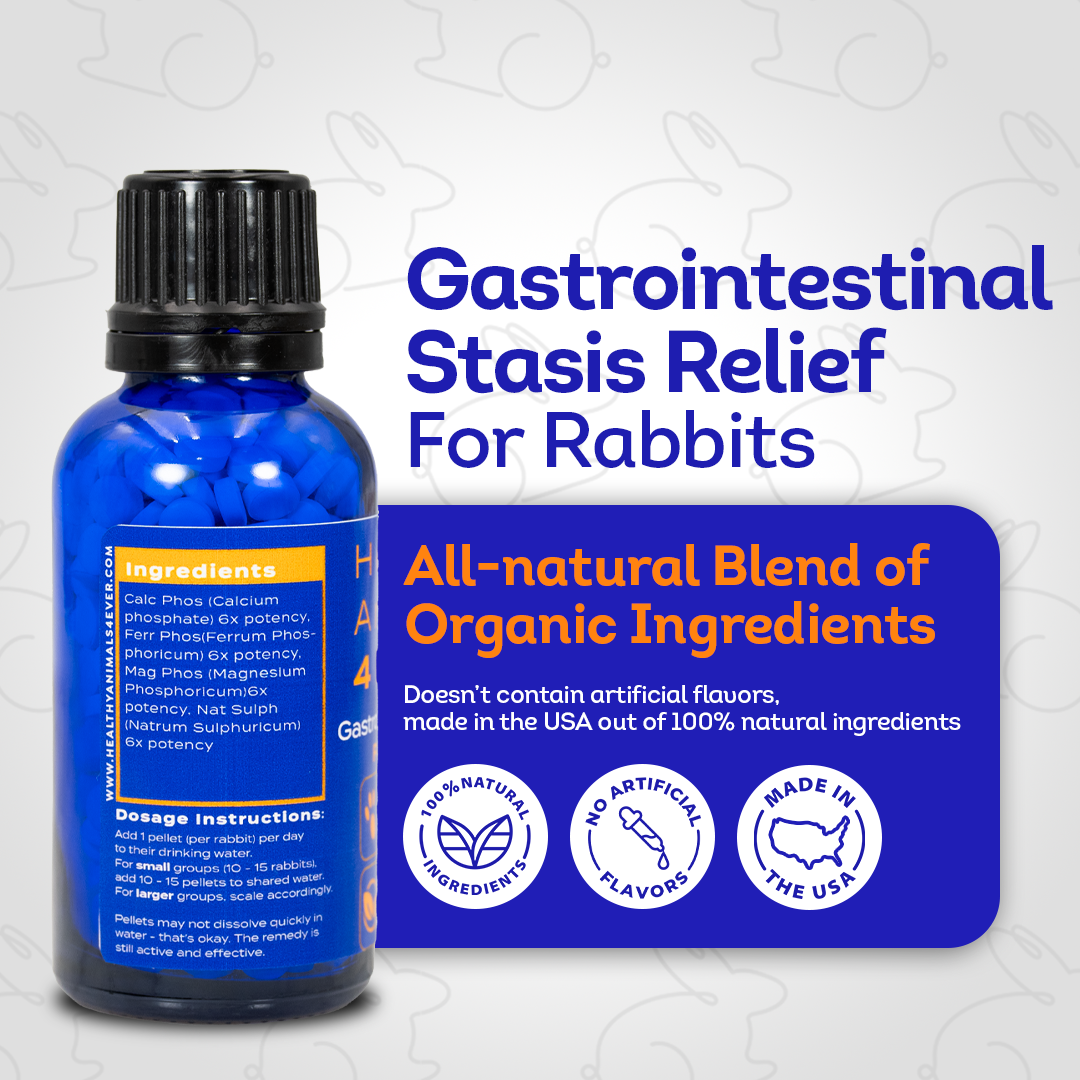 Gastrointestinal Stasis Relief for Rabbits