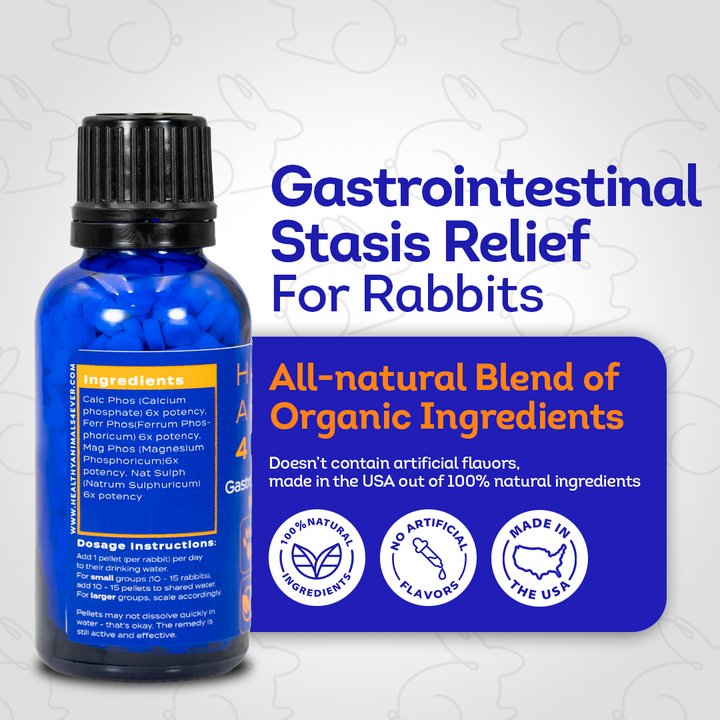 Gastrointestinal Stasis Relief for Rabbits