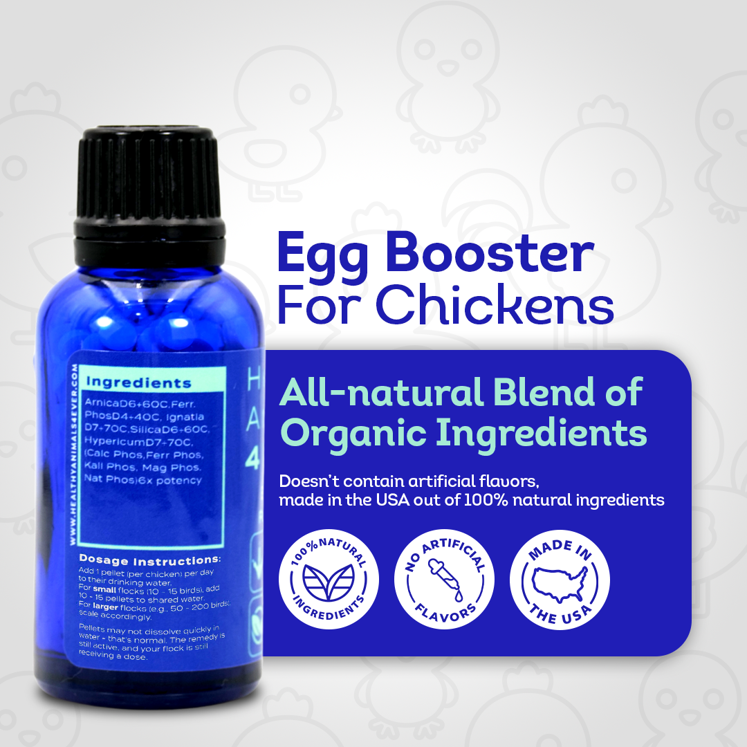 Chicken Egg Booster Supplement - Supports Stronger Eggshells & Stress Relief - Highly Effective Homeopathic Formula - Natural Egg Strengthening Tablets - 300 Count