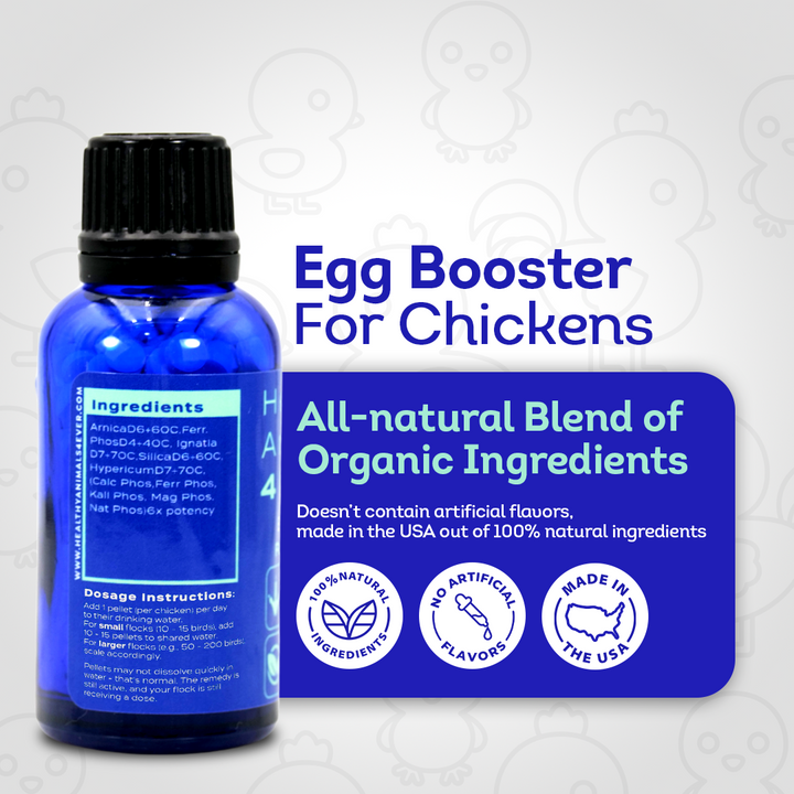 Chicken Egg Booster Supplement - Supports Stronger Eggshells & Stress Relief - Highly Effective Homeopathic Formula - Natural Egg Strengthening Tablets - 300 Count
