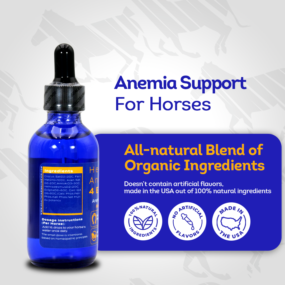 Horse Anemia Support (Liquid)