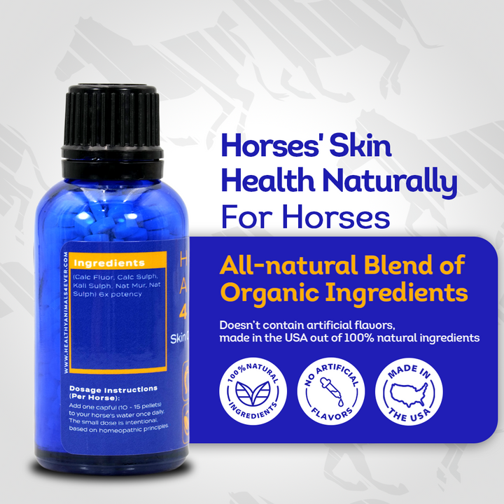 Horse Skin Conditions Support