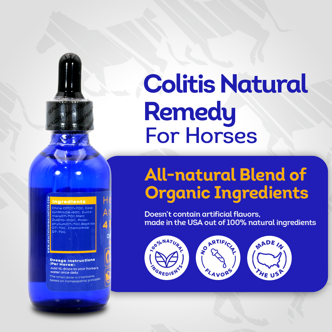 Horse Colitis Support (Liquid)