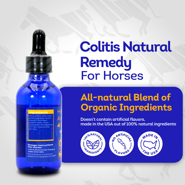 Horse Colitis Support (Liquid)