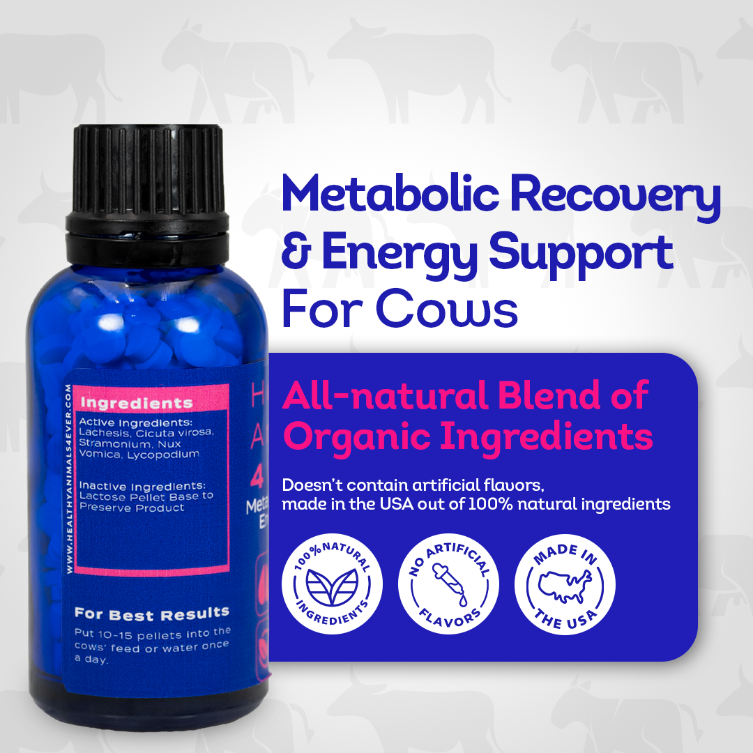 Ketosis Relief & Metabolic Support for Cows